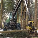 Vollernter mit Harvester