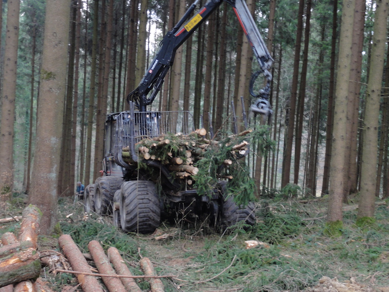 Forwarder 142 800x600