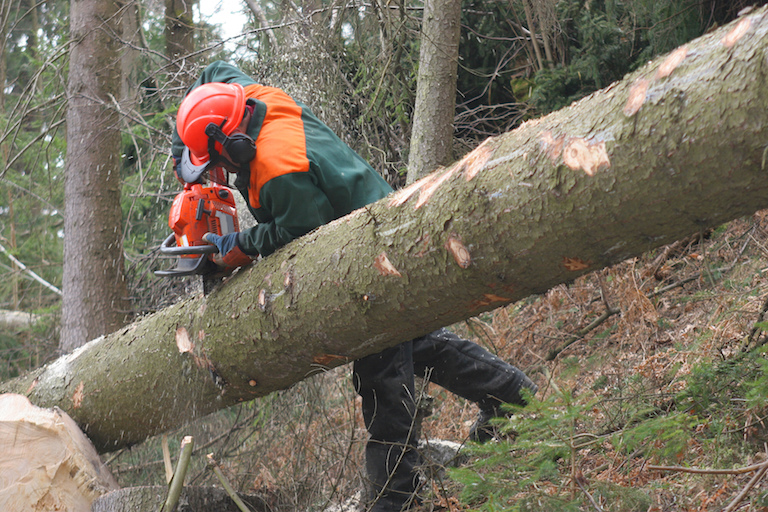 shutterstock_27420823 768x512