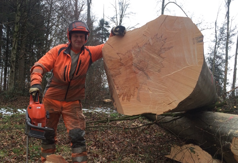 thumb_IMG_0745_768x512