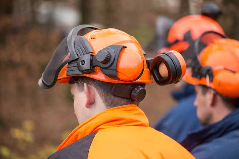 shutterstock_232522033 768x512